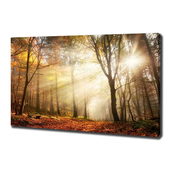 Wandbild Nebel im Wald