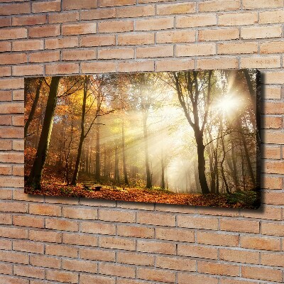 Wandbild Nebel im Wald