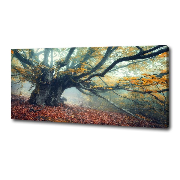 Wandbild Alter Baum