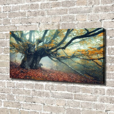 Wandbild Alter Baum