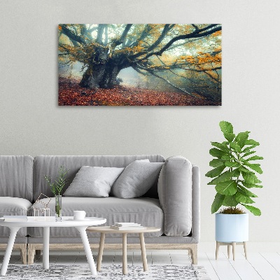 Wandbild Alter Baum