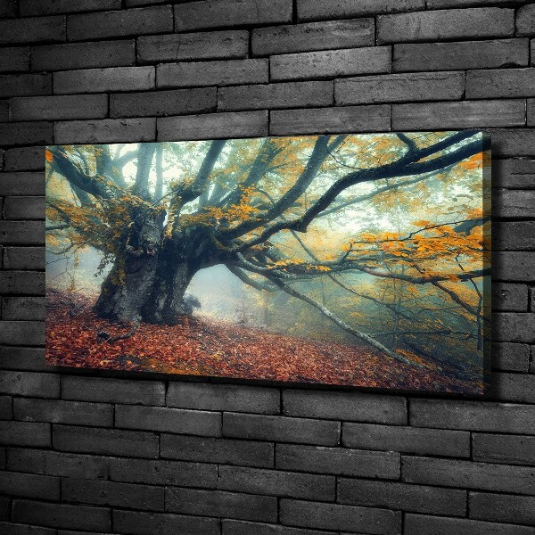 Wandbild Alter Baum