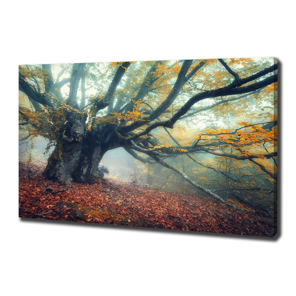 Wandbild Alter Baum