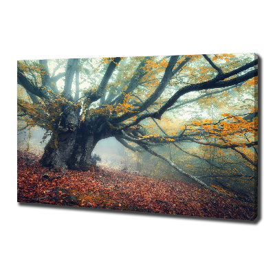 Wandbild Alter Baum