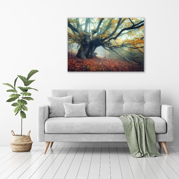 Wandbild Alter Baum
