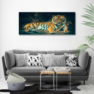 Fotobild Tiger in der Höhle