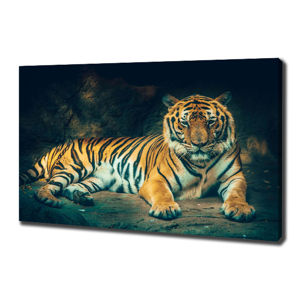 Fotobild Tiger in der Höhle
