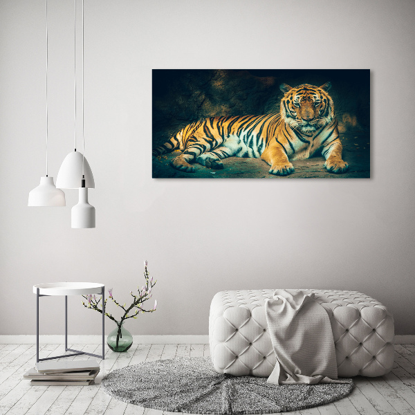 Fotobild Tiger in der Höhle