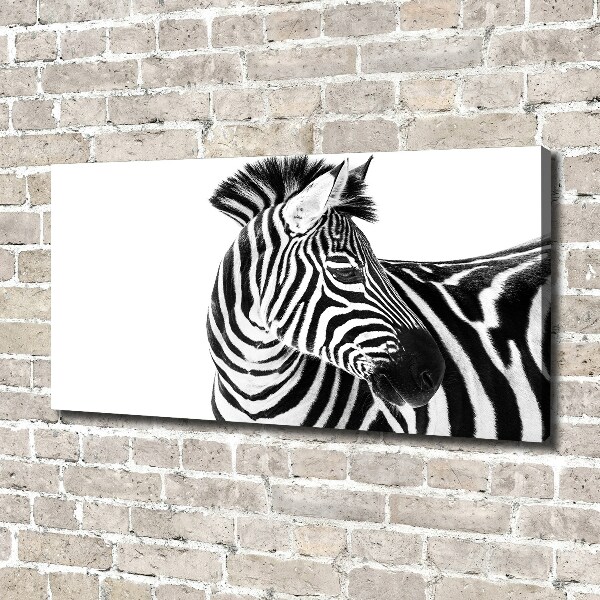 Bild auf leinwand Zebra im Schnee