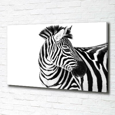 Bild auf leinwand Zebra im Schnee