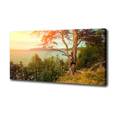 Wandbild Skandinavischer See