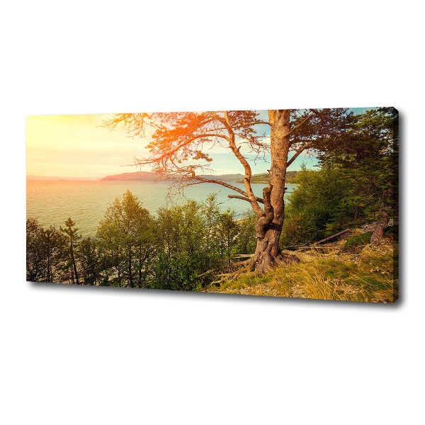 Wandbild Skandinavischer See