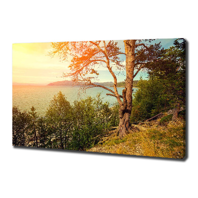 Wandbild Skandinavischer See