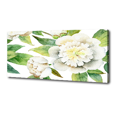 Bild auf leinwand Pfingstrosen