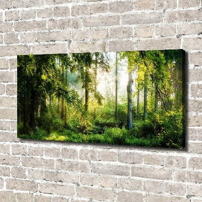 Bild auf leinwand Morgensonne Wald