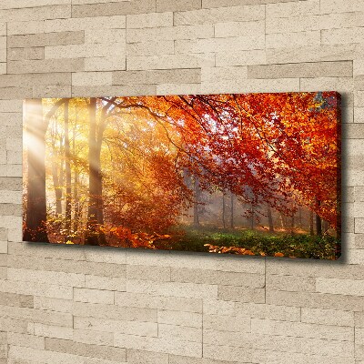 Bild auf leinwand Herbstwald