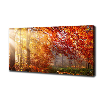Bild auf leinwand Herbstwald
