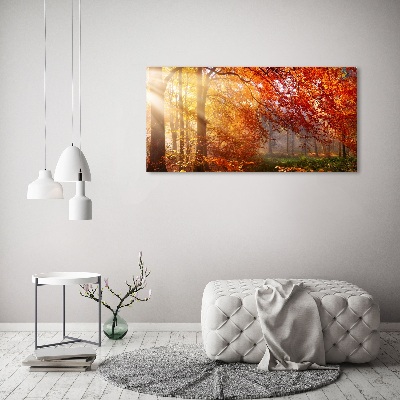 Bild auf leinwand Herbstwald