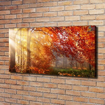 Bild auf leinwand Herbstwald