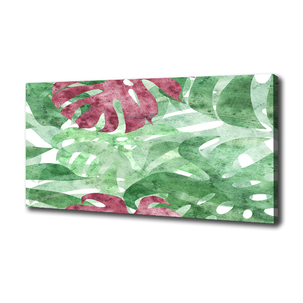 Bild auf leinwand Monstera