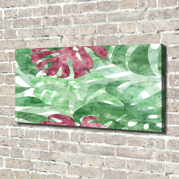 Bild auf leinwand Monstera
