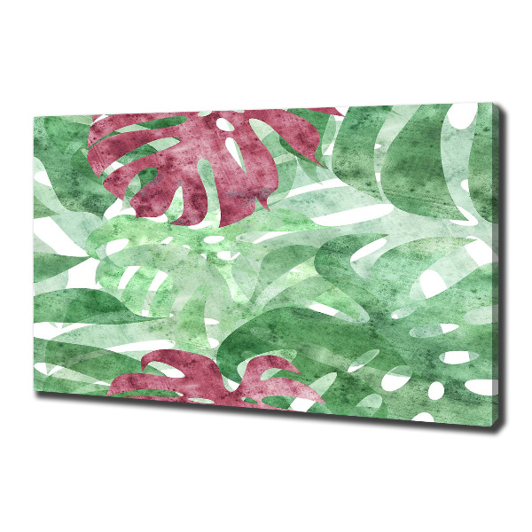 Bild auf leinwand Monstera