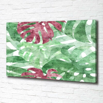 Bild auf leinwand Monstera