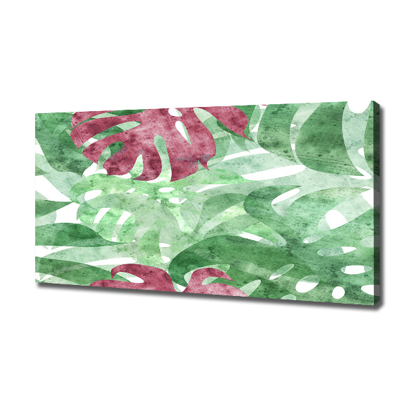 Bild auf leinwand Monstera