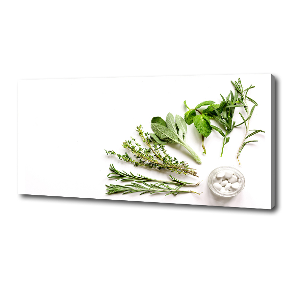 Bild auf leinwand Kräuter
