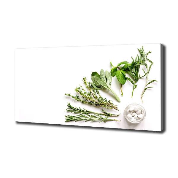 Bild auf leinwand Kräuter