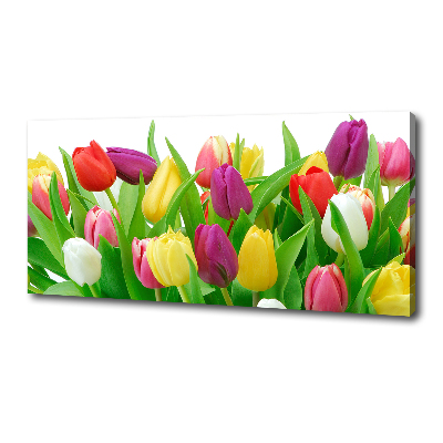 Wandbild Bunte Tulpen