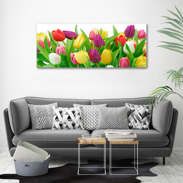 Wandbild Bunte Tulpen