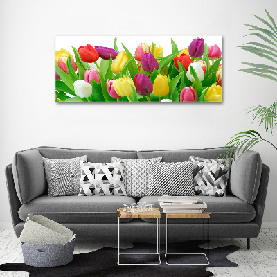 Wandbild Bunte Tulpen