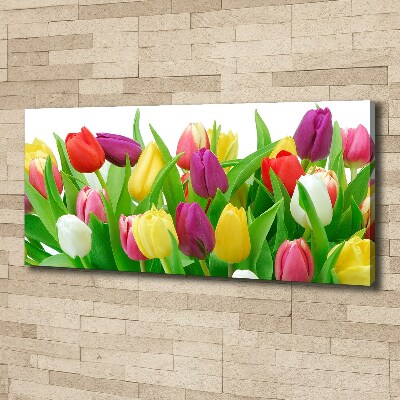 Wandbild Bunte Tulpen