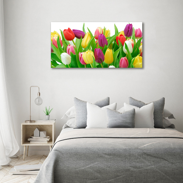 Wandbild Bunte Tulpen