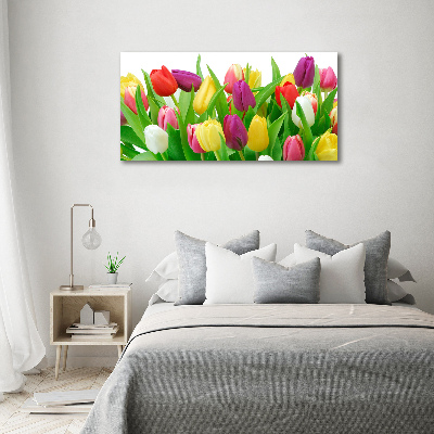 Wandbild Bunte Tulpen