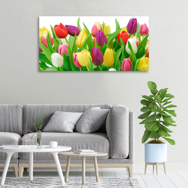 Wandbild Bunte Tulpen