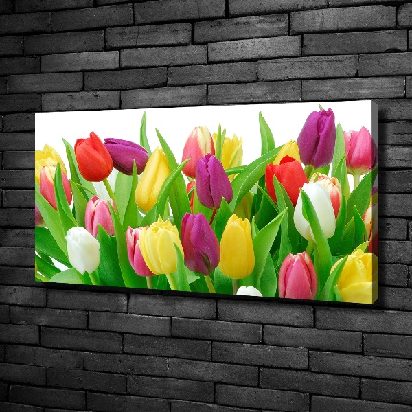 Wandbild Bunte Tulpen