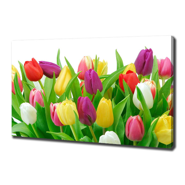 Wandbild Bunte Tulpen