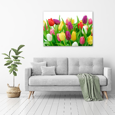 Wandbild Bunte Tulpen