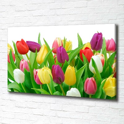 Wandbild Bunte Tulpen