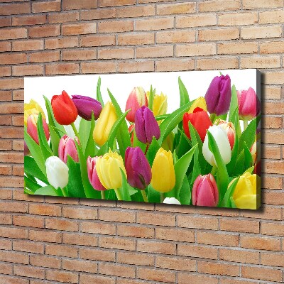 Wandbild Bunte Tulpen