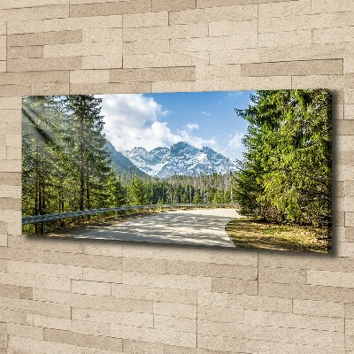 Bild auf leinwand Tatra-Gebirge-Straße