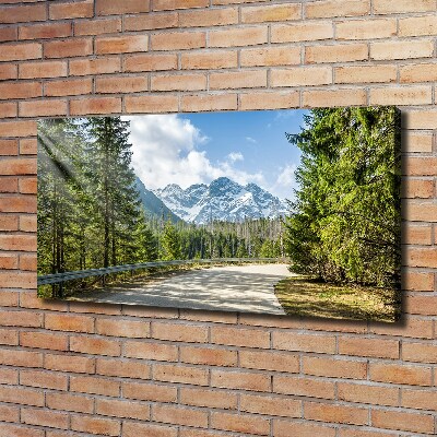 Bild auf leinwand Tatra-Gebirge-Straße