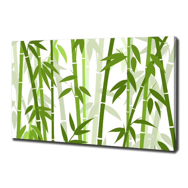 Fotobild Bambus