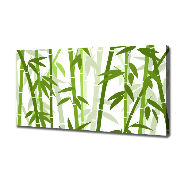 Fotobild Bambus