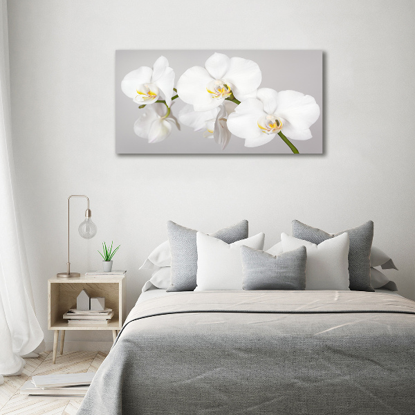 Wandbild Orchidee