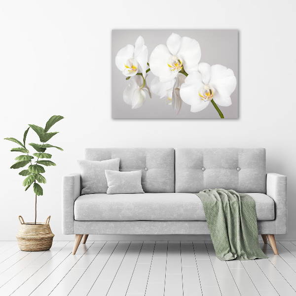 Wandbild Orchidee