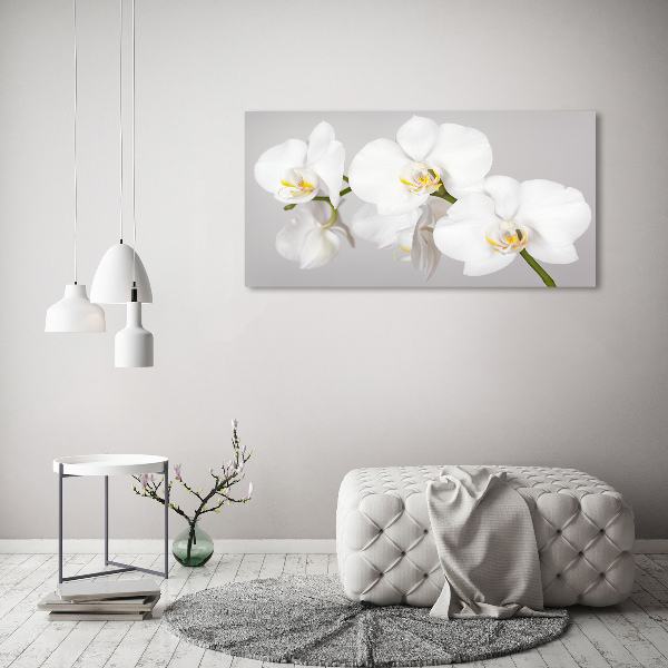 Wandbild Orchidee