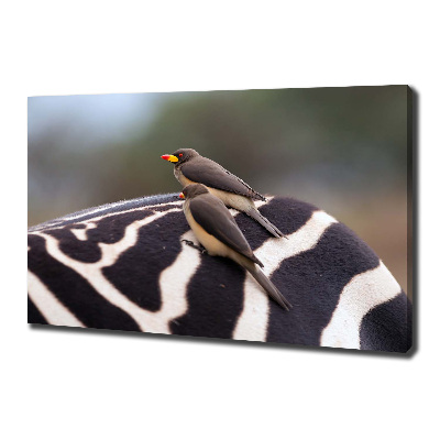 Wandbild Vögel und Zebras